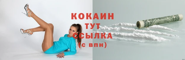 spice Нея