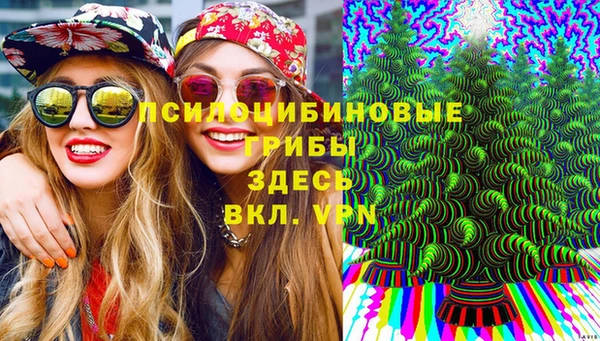 дурь Нефтекумск